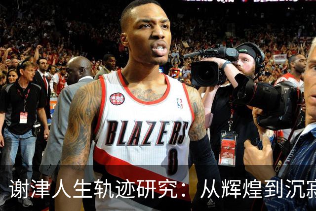 谢津人生轨迹研究：从辉煌到沉寂的因果分析